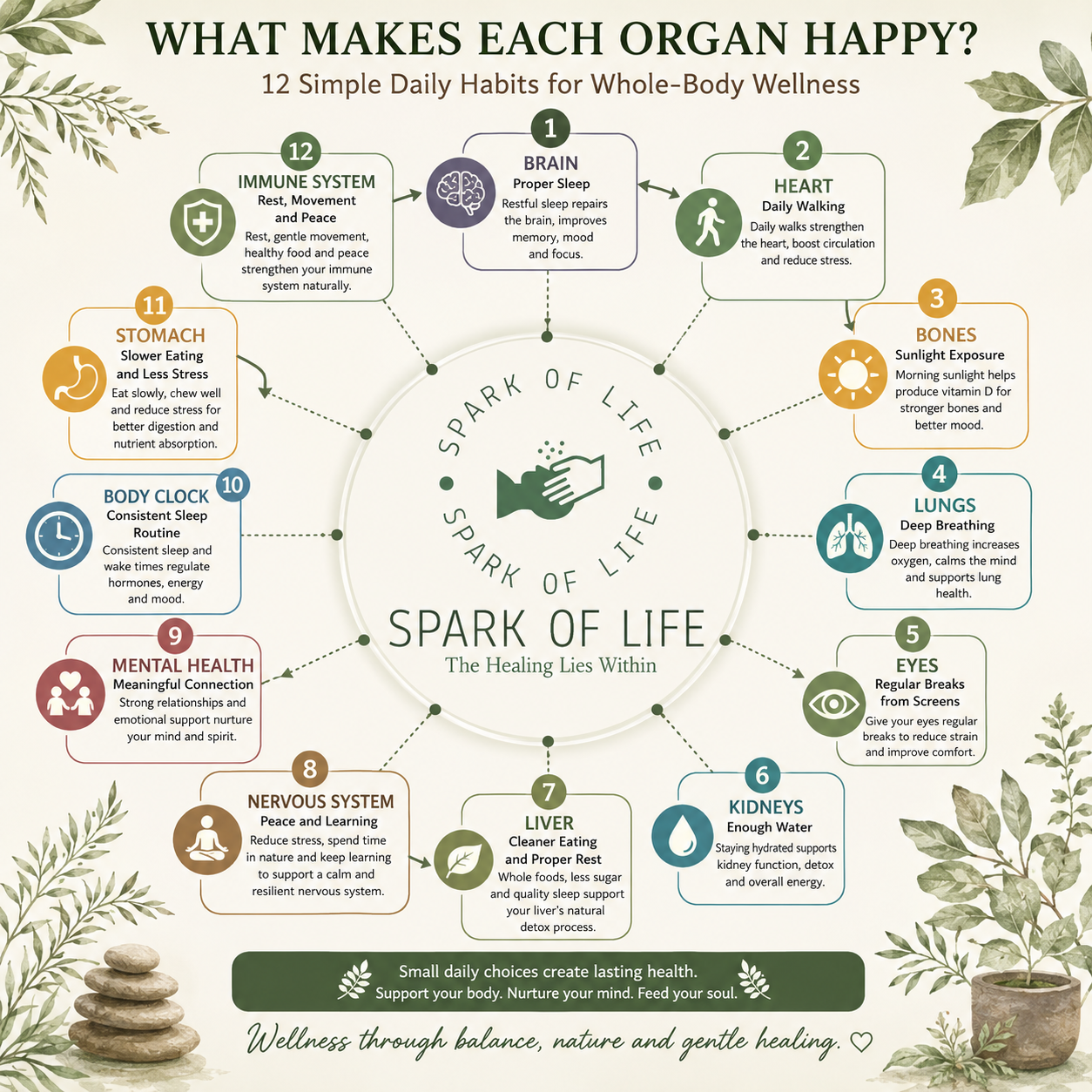 What Makes Each Organ Happy Simple Daily Habits for Whole-Body Wellness